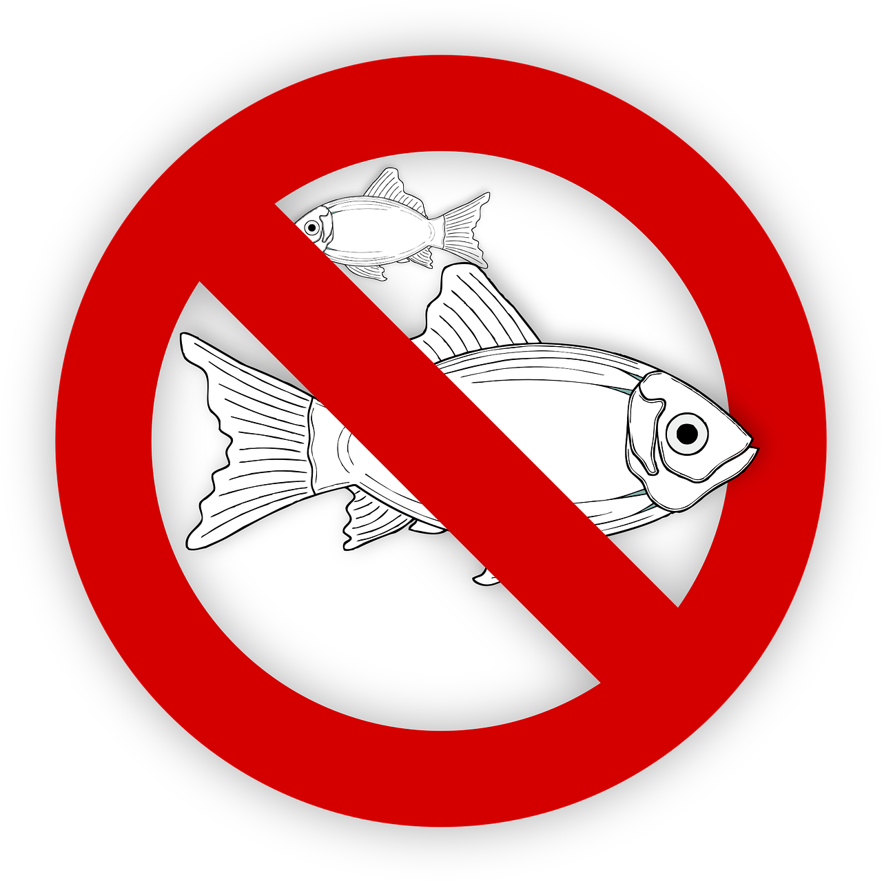 pixabay-995050-20.png